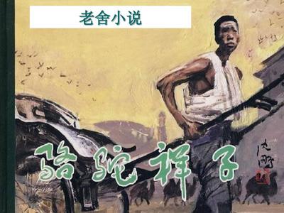 含羞草研究所2025
